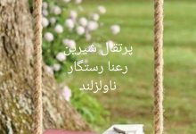 رمان پرتقال شیرین