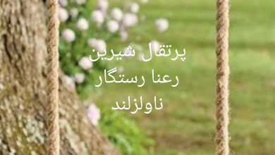 رمان پرتقال شیرین