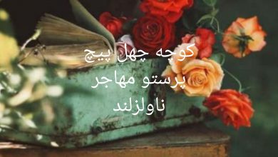 رمان کوچه چهل پیچ