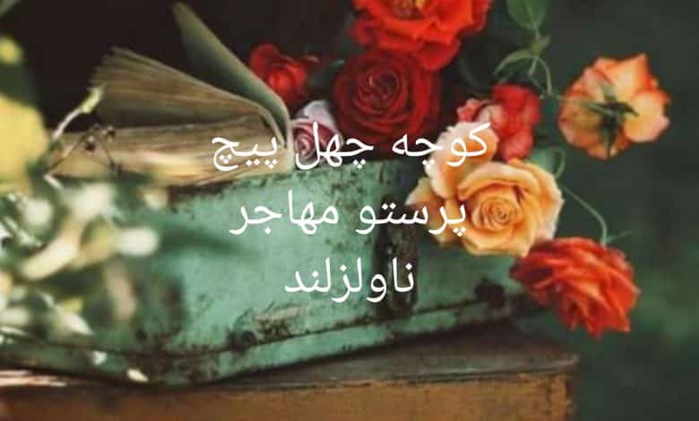 رمان کوچه چهل پیچ