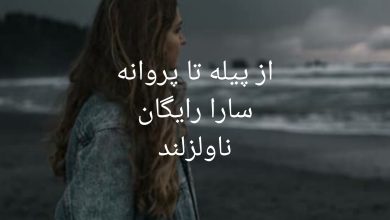 رمان از پیله تا پروانه