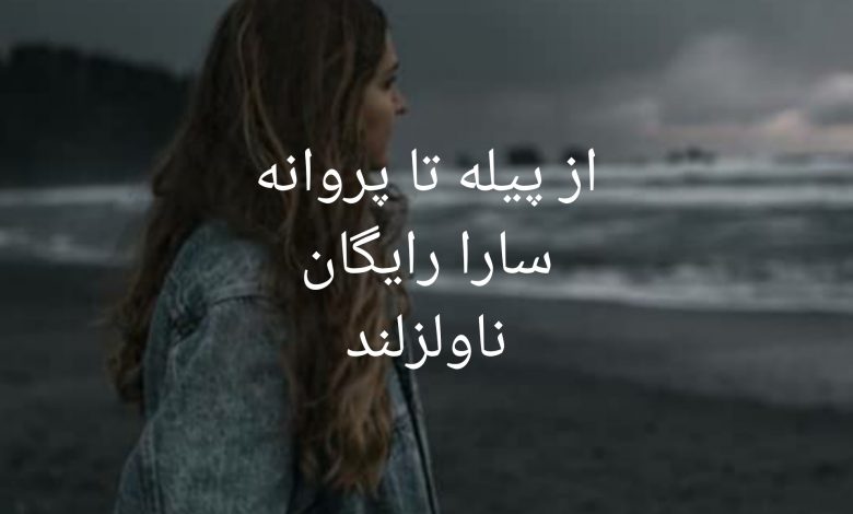 رمان از پیله تا پروانه