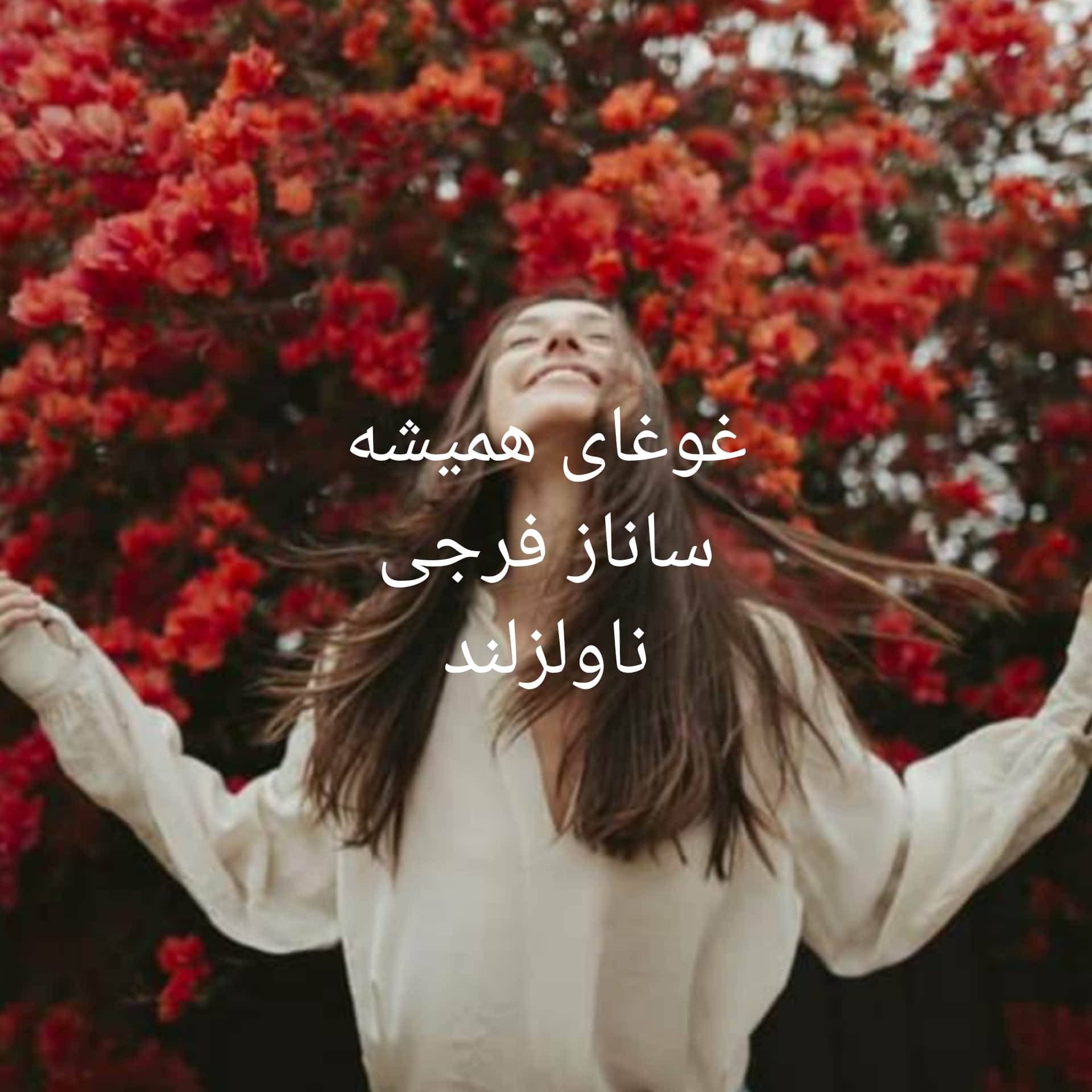 رمان غوغای همیشه