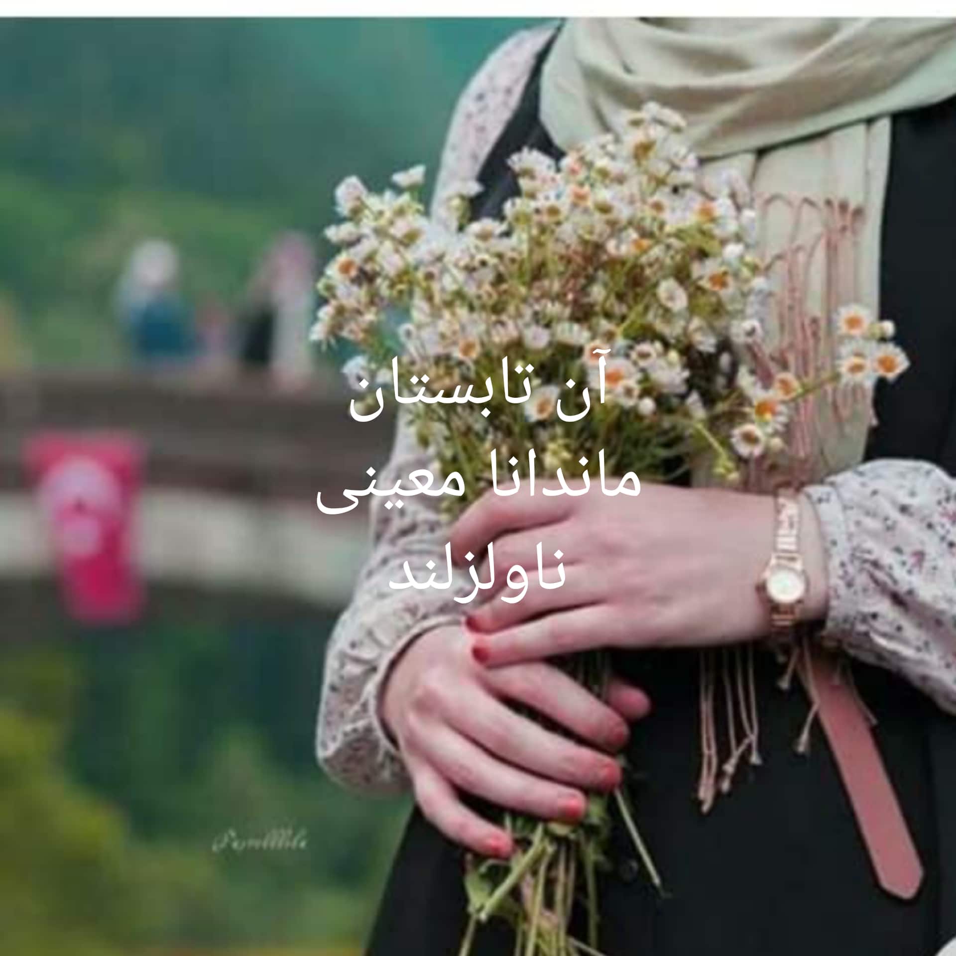 رمان آن تابستان