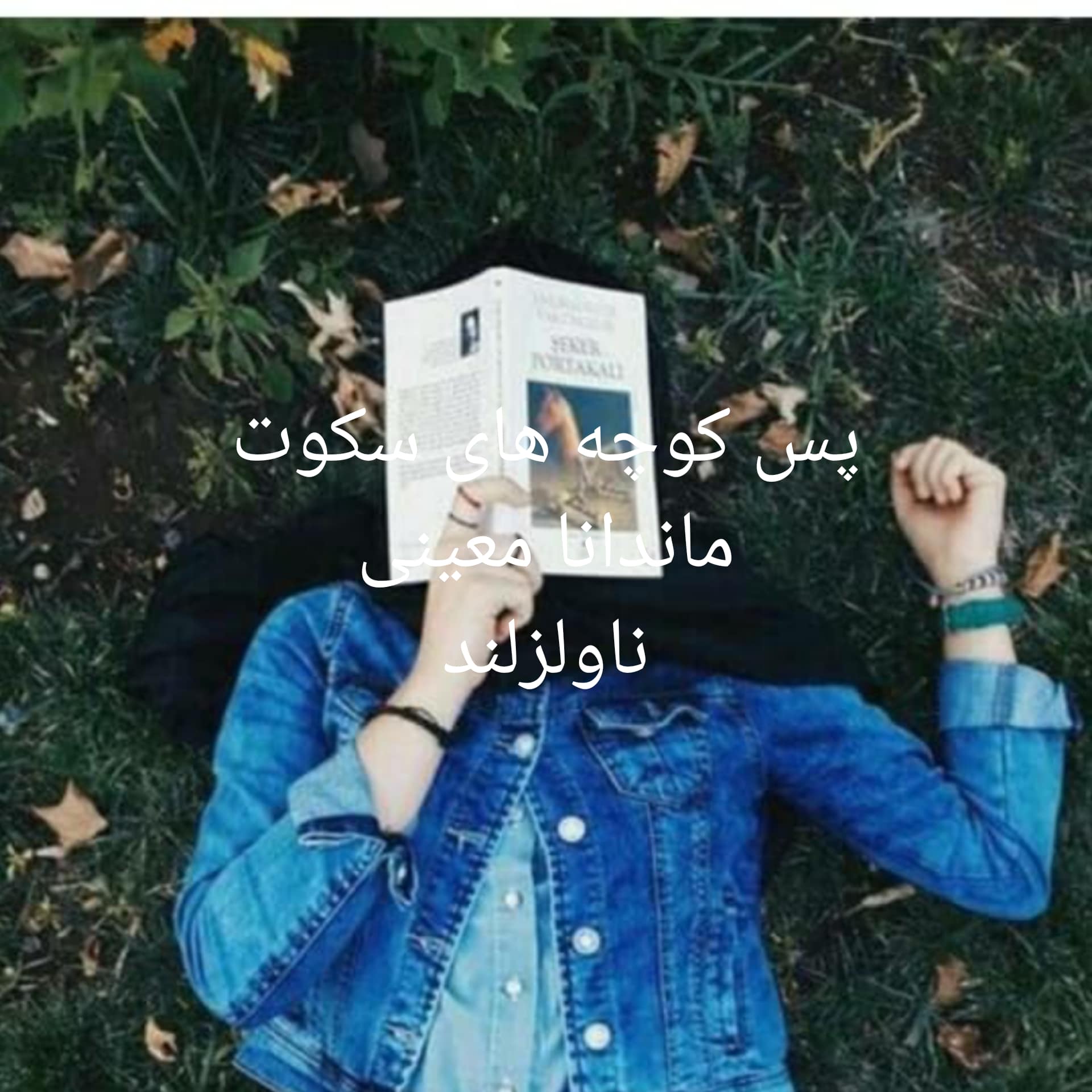 رمان پس کوچه های سکوت