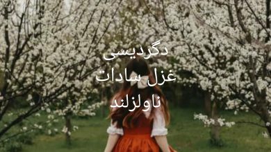 رمان دگردیسی