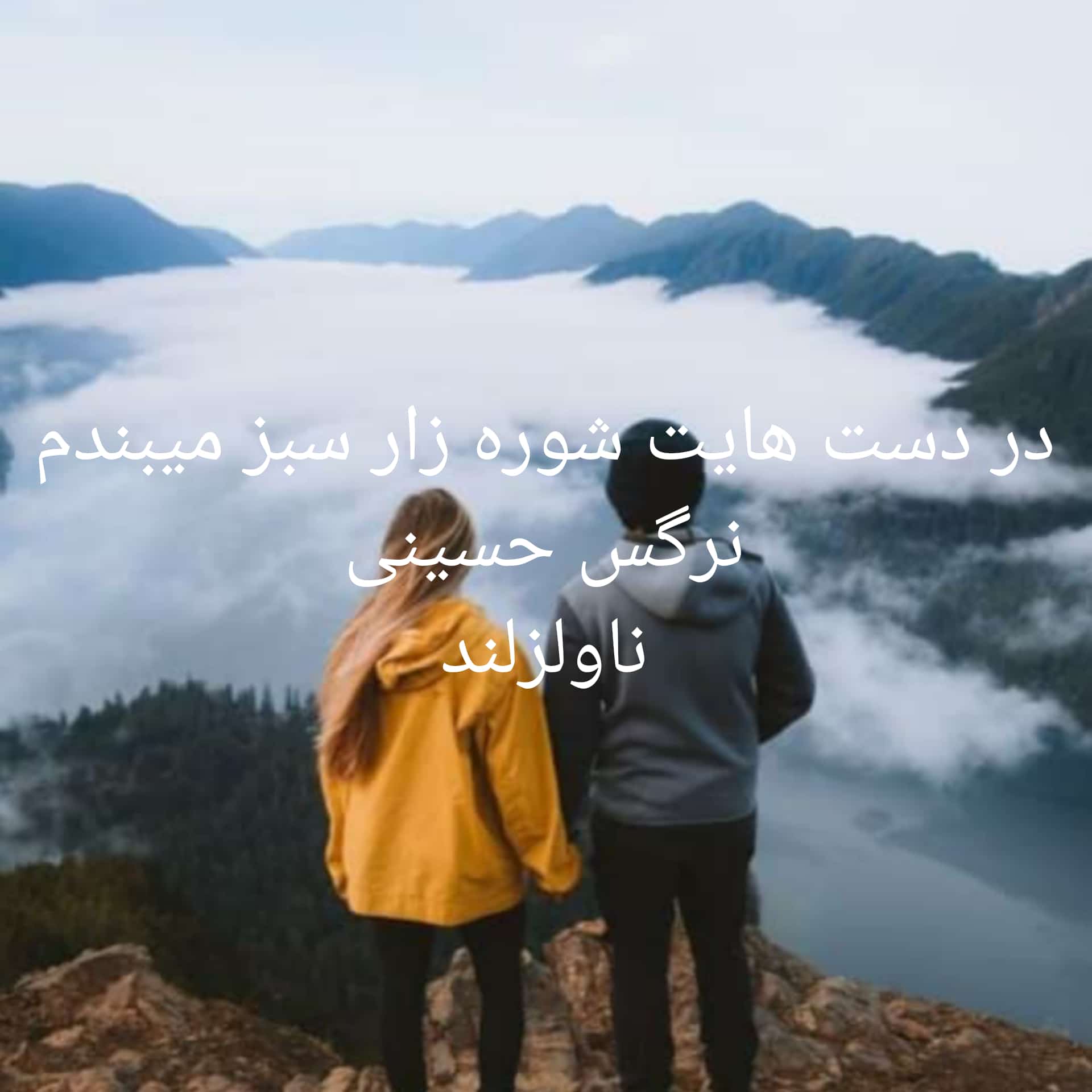 رمان دردست هایت شوره زار سبز میپوشم