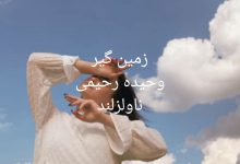 رمان زمین گیر