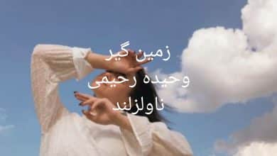 رمان زمین گیر