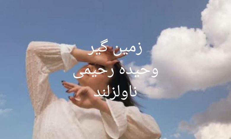 رمان زمین گیر