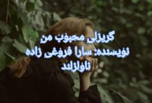 رمان گریزلی محبوب من