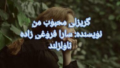 رمان گریزلی محبوب من