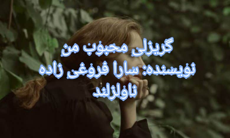 رمان گریزلی محبوب من