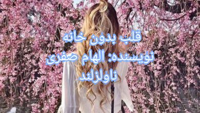 رمان قلب بدون خانه