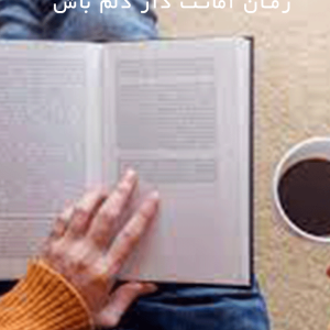 دانلود رمان امانت دار دلم باش