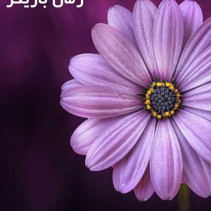 دانلود رمان بازیگر