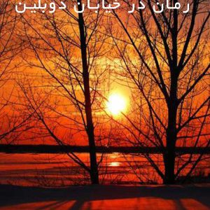 دانلود رمان در خیابان دوبلین