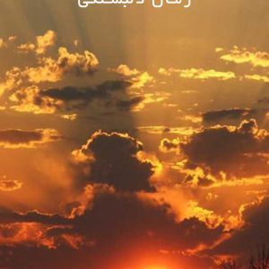 دانلود رمان دلبستگی