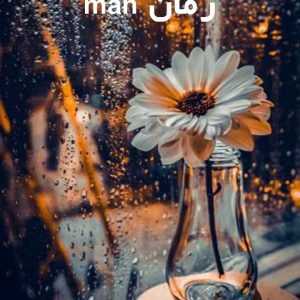 دانلود رمان man