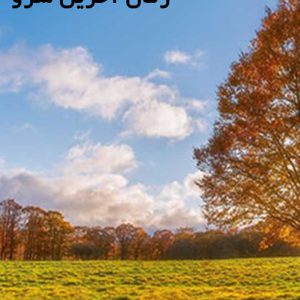 دانلود رمان آخرین سرو