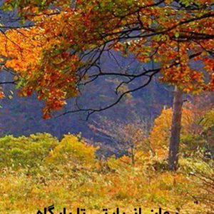 دانلود رمان از پارتی تا پایگاه