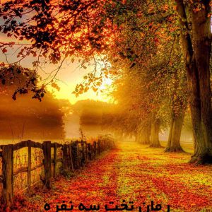 دانلود رمان تخت سه نفره