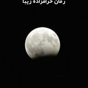 دانلود رمان حرامزاده زیبا