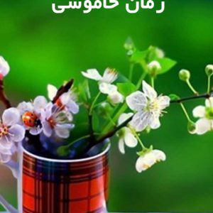 دانلود رمان خاموشی