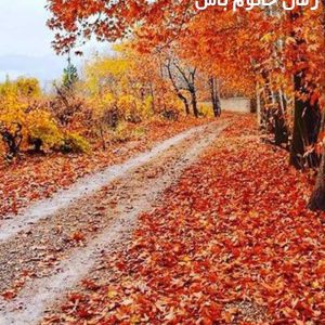 دانلود رمان خانوم باش