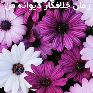 دانلود رمان خلافکار دیوانه من