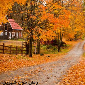 دانلود رمان خون شیرین