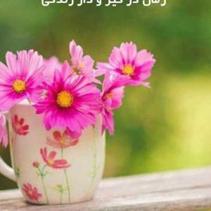 دانلود رمان در گیر و دار زندگی