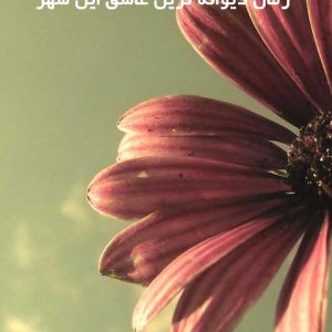 دانلود رمان دیوانه ترین عاشق این شهر