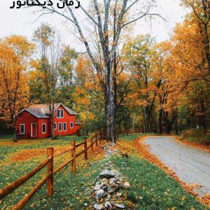 دانلود رمان دیکتاتور