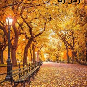 دانلود رمان رگا