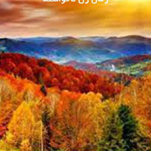 دانلود رمان زن ناخواسته