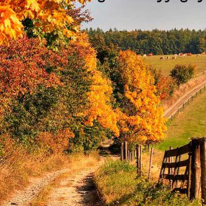 دانلود رمان قرارداد سلطنتی