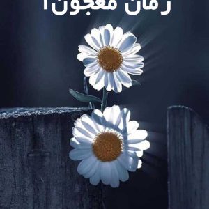 دانلود رمان معجون1