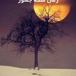 دانلود رمان ملکه جسور