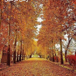 دانلود رمان نارشین