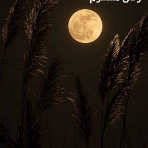 دانلود رمان همسرم