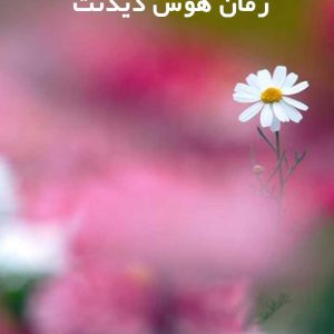 دانلود رمان هوس دیدنت