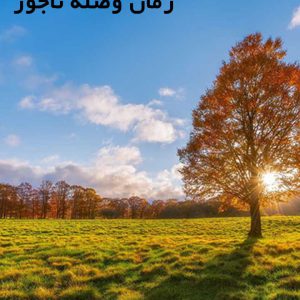 دانلود رمان وصله ناجور