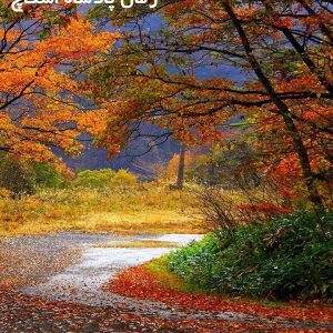 دانلود رمان پادشاه اسکاچ