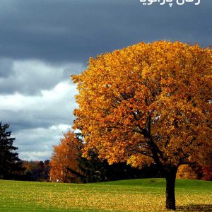 دانلود رمان پارانویا