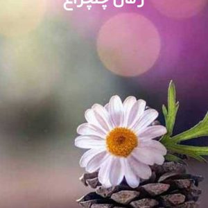 دانلود رمان چلچراغ