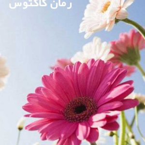 دانلود رمان کاکتوس