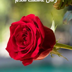 دانلود رمان عاشقت شدم