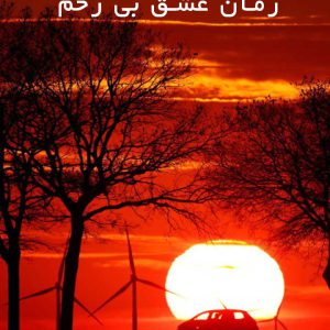 دانلود رمان عشق بی رحم جلد اول