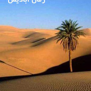 دانلود رمان آبادیس